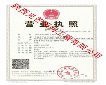 光芒照明營(yíng)業(yè)執(zhí)照